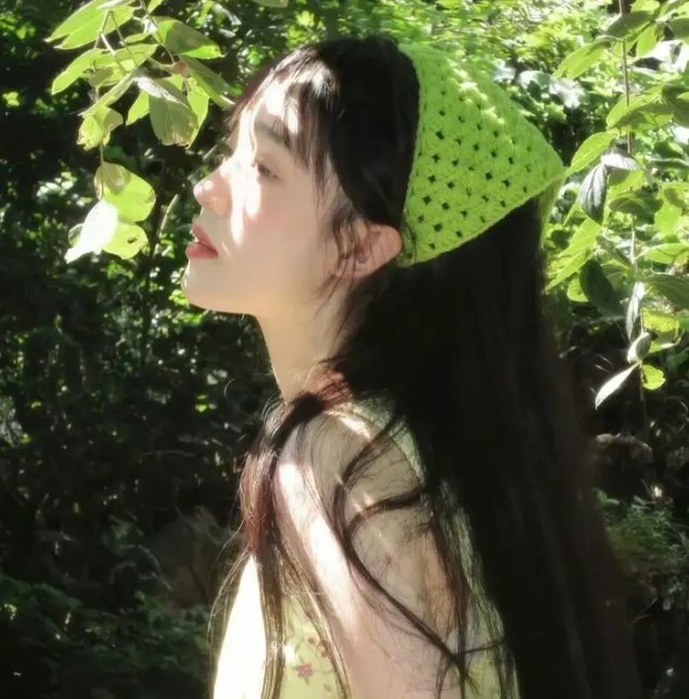 星星守护犬